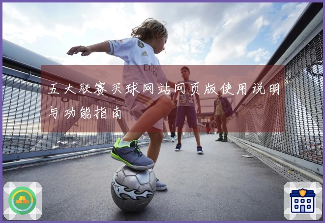 五大联赛买球网站网页版使用说明与功能指南