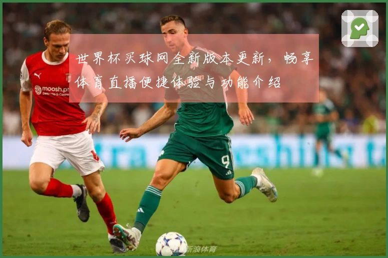 世界杯买球网全新版本更新，畅享体育直播便捷体验与功能介绍